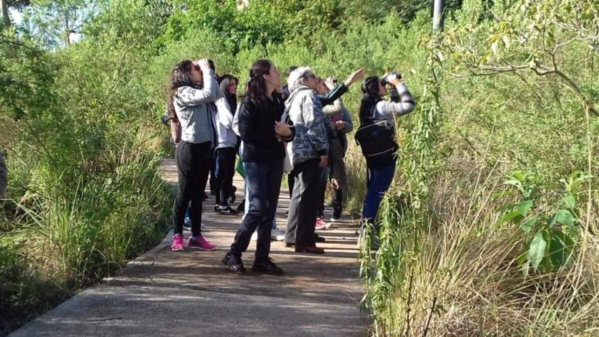 Avistaje de aves
