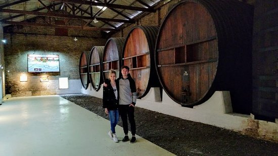 Bodegas